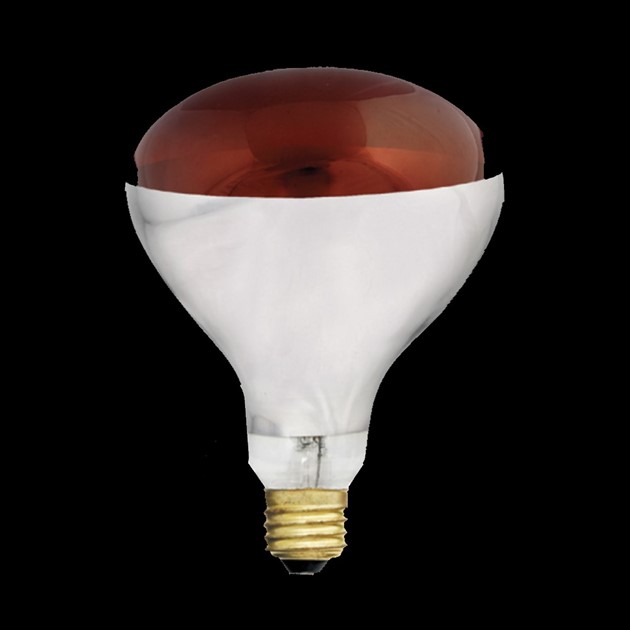 Värmelampa röd R125 E27 150W